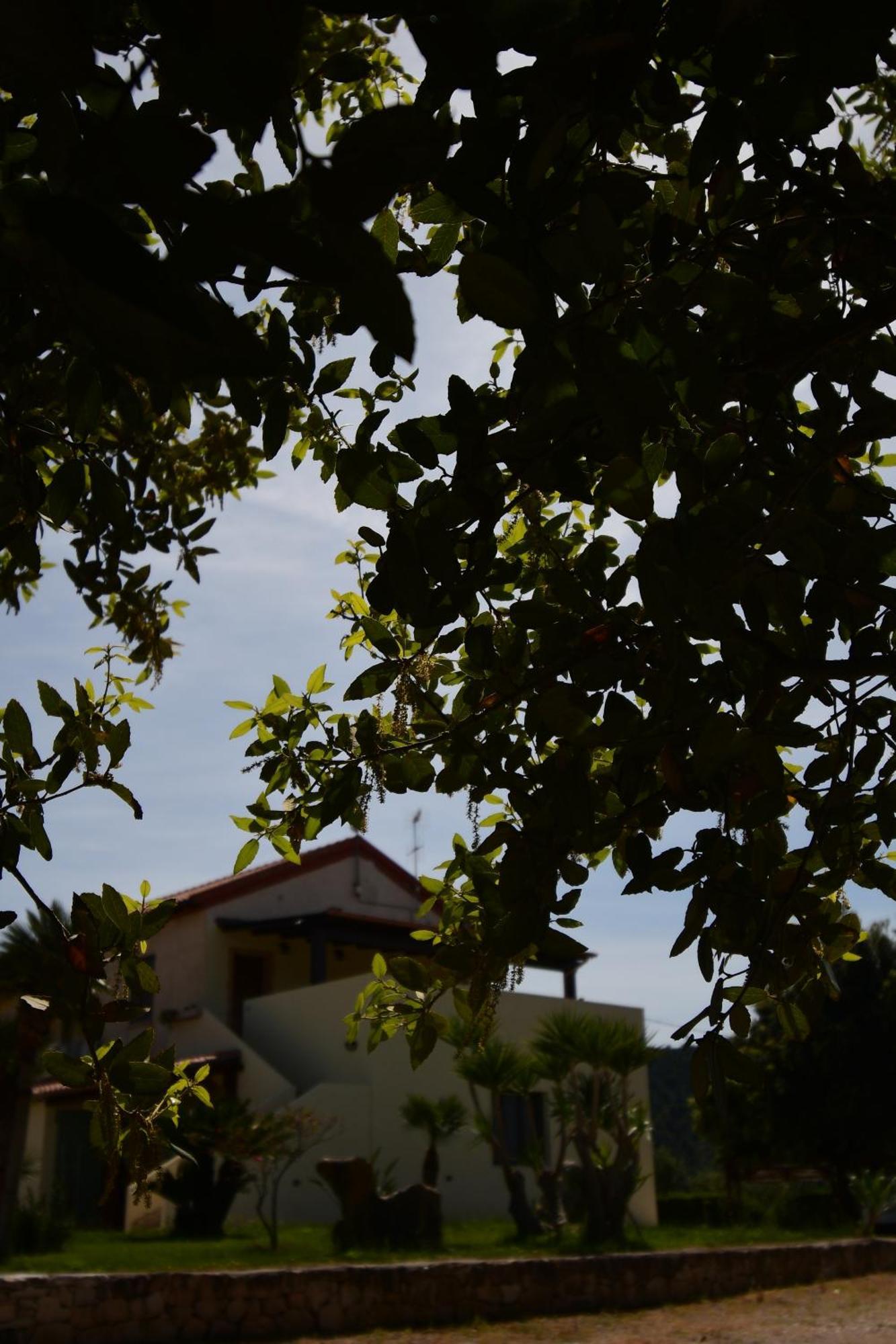 Fattoria La Traccia Villa Fertilia Luaran gambar